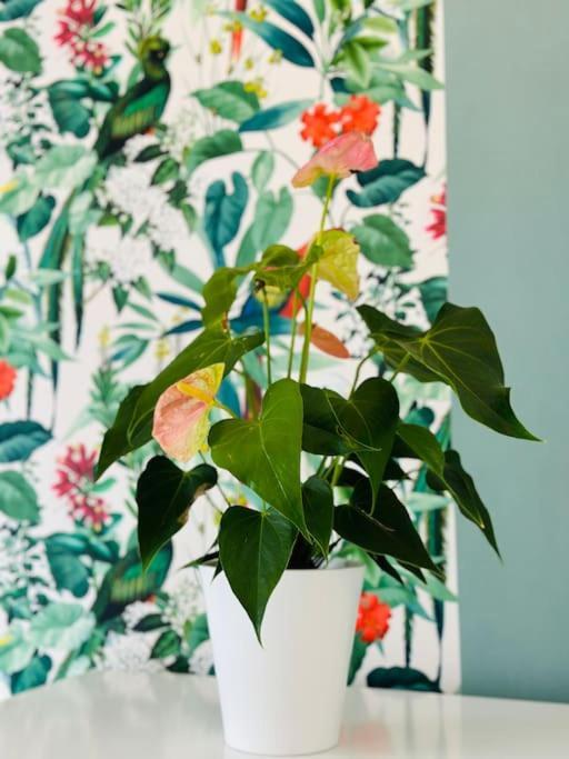 Le Jardin Secret - Jardin/Loire Apartman Tours Kültér fotó